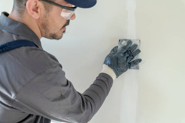 Best Mold Damage Restoration  in Jeffersonville, IN