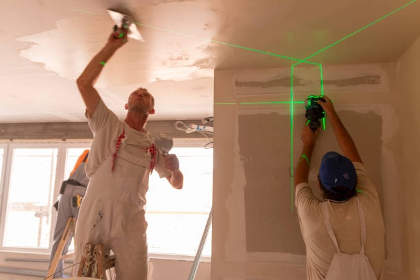 Best Attic Mold Removal  in Jeffersonville, IN