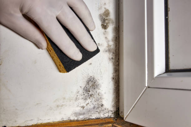 Best Indoor Air Quality Assessment  in Jeffersonville, IN
