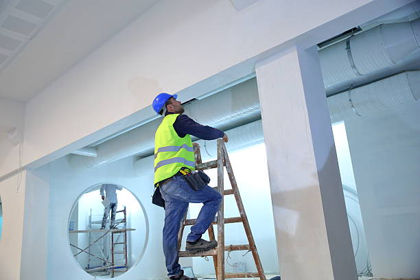 Best Environmental Consulting for Mold Prevention  in Jeffersonville, IN