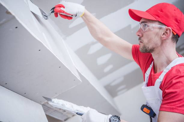 Reliable Jeffersonville, IN Mold Removal Solutions